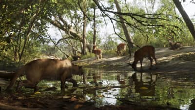 A panther drinks at a creek in dappled light with deer grazing further back.