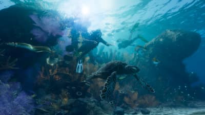 A diver swims over a reef alongside a sea turtle in clear blue water.