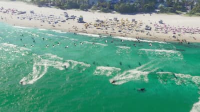Jet skis and swimmers churning the shallows off a crowded white-sand beach
