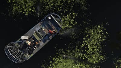 Top-down view of an airboat crossing dark lily-covered water with alligators lying nearby.