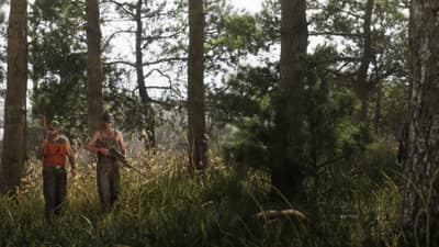 Two hunters in camouflage carry rifles through sunlit pine woods and waist-high grass.