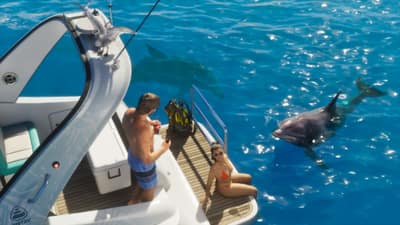 A couple relax on a boat's swim platform while two dolphins swim past in blue water.